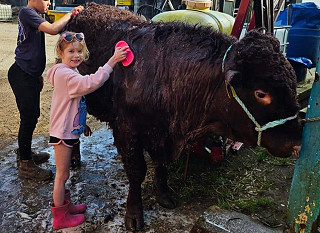 More than 500 exhibitors get ready for 139th Lincolnshire Show